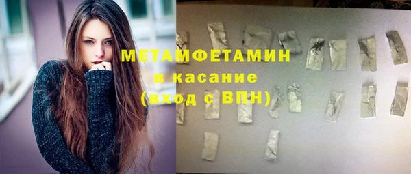 индика Костерёво