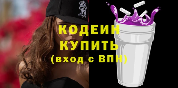 гашик Корсаков
