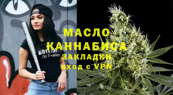 индика Костерёво