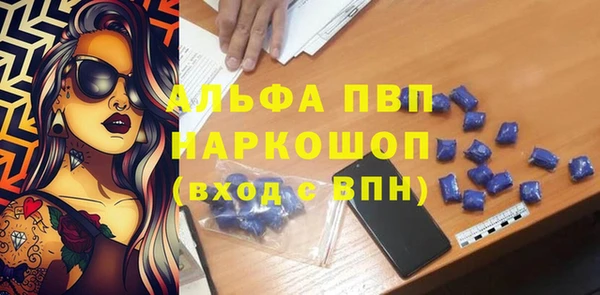 гашик Корсаков