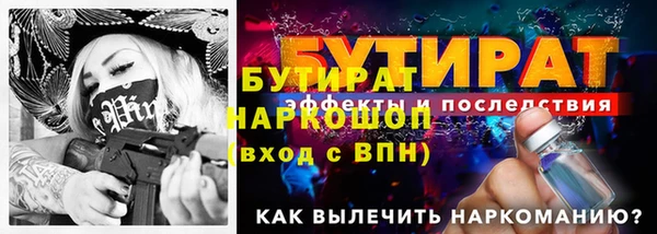 индика Костерёво