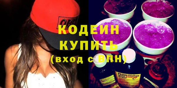 индика Костерёво