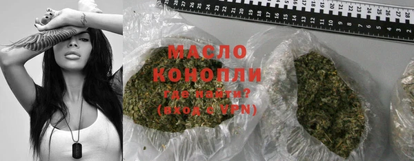 индика Костерёво