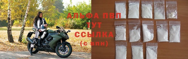 СК Коряжма