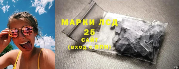 индика Костерёво