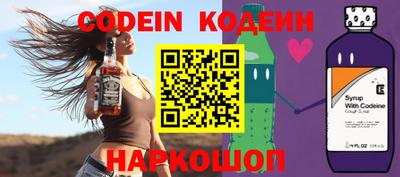 гашик Кингисепп