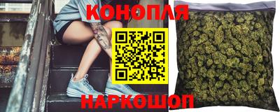 гашик Кингисепп