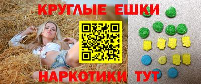 гашик Кингисепп
