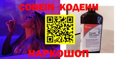 гашик Кингисепп