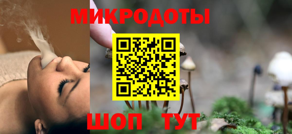 Псилоцибиновые грибы Cubensis  что такое наркотик  Чайковский  Галлюциногенные грибы прущие грибы 